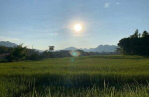 Luang Prabang: Evening Cooking Class & Local Baci Ceremony - Market stop: herbs, seasonings, and the logic of Lao flavors