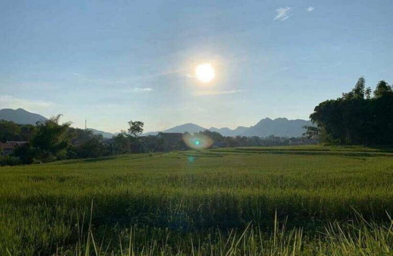 Luang Prabang: Evening Cooking Class & Local Baci Ceremony - Market stop: herbs, seasonings, and the logic of Lao flavors