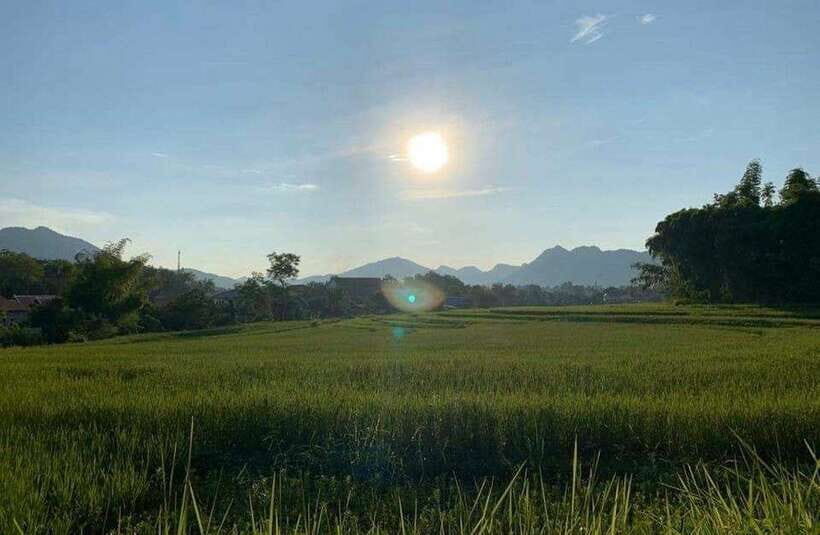 Luang Prabang: Evening Cooking Class & Local Baci Ceremony - Market stop: herbs, seasonings, and the logic of Lao flavors