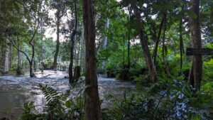 Luang Prabang: Full Day Trek to Kuang Si Waterfall & Village - Price and logistics in Luang Prabang: pickup, timing, and tour size