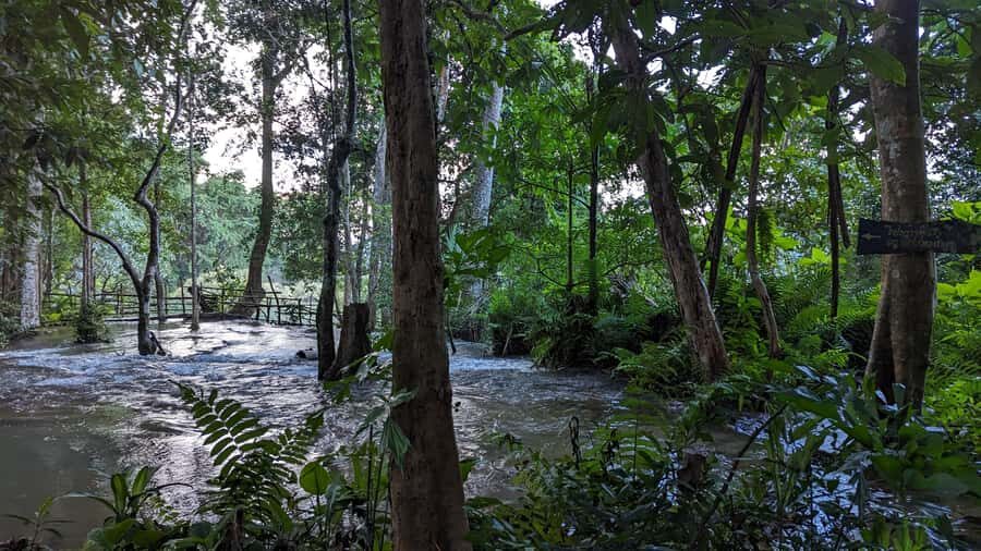 Luang Prabang: Full Day Trek to Kuang Si Waterfall & Village - Price and logistics in Luang Prabang: pickup, timing, and tour size
