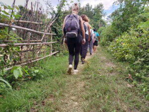 Luang Prabang: Hiking Off the Beaten Track with Picnic Lunch - The ascent: steep trail, skyline ridge, and that first big view