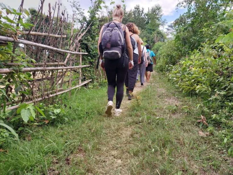 Luang Prabang: Hiking Off the Beaten Track with Picnic Lunch - The ascent: steep trail, skyline ridge, and that first big view