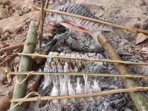 Luang Prabang: Mekong Fishing with a Local Fisherman & Lunch - The 8:30 AM start: pickup, transfer, and your first Mekong views