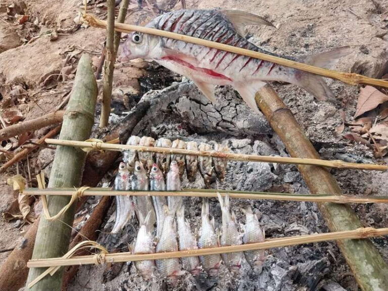 Luang Prabang: Mekong Fishing with a Local Fisherman & Lunch - The 8:30 AM start: pickup, transfer, and your first Mekong views