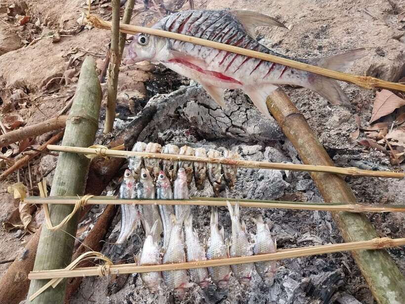 Luang Prabang: Mekong Fishing with a Local Fisherman & Lunch - The 8:30 AM start: pickup, transfer, and your first Mekong views