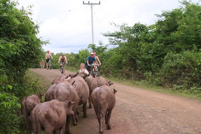 Luang Prabang Mountain Bike Cycling Tour - Afternoon choices: kayaking, Kuang Si Falls, or seasonal Tad Sae