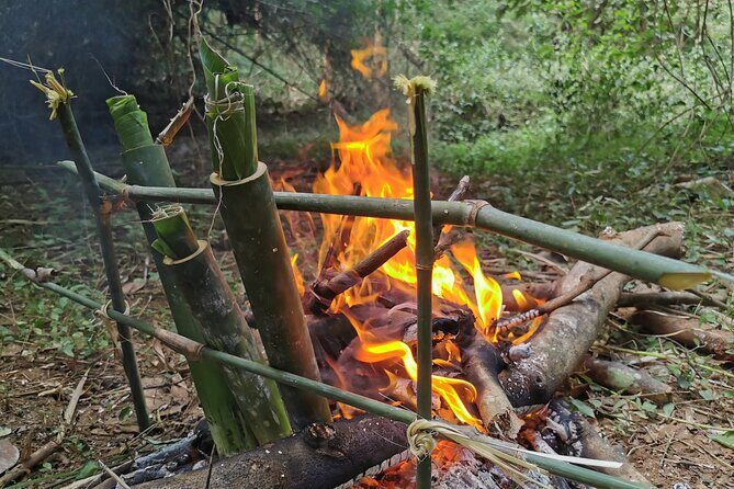 Tribal Cooking Class in Luang Prabang Forest and visit - Plant picking: what you gather before you cook