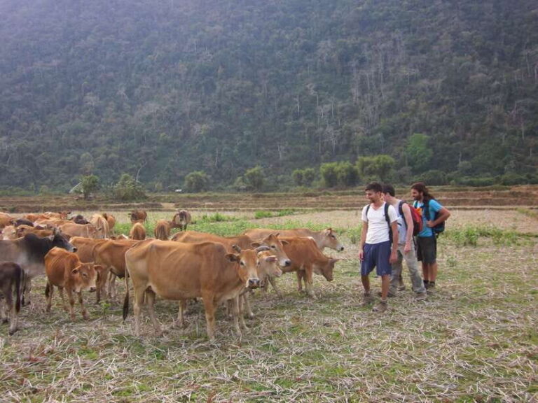 Vang Vieng: Jungle & Caves Full-Day Private Trekking Tour - Pickup in Vang Vieng and the Run Up Toward Phathao